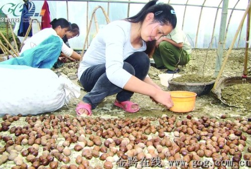 ����(du��)ɽ���ҷN���M(j��n)�д�ѿ���D��