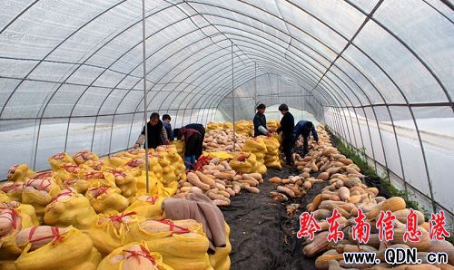 ǭ�|��ԭ���B�߲˼����M��V�|���ռң��D��