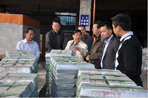 州人大常委會主任羅亮權到碧波工業園區調研