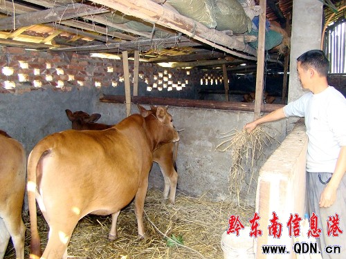 ���{(di��o)��ͥ�N�B(y��ng)  ��Ԫ���w�¸����D��