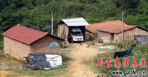 ���{(di��o)��ͥ�N�B(y��ng)  ��Ԫ���w�¸����D��