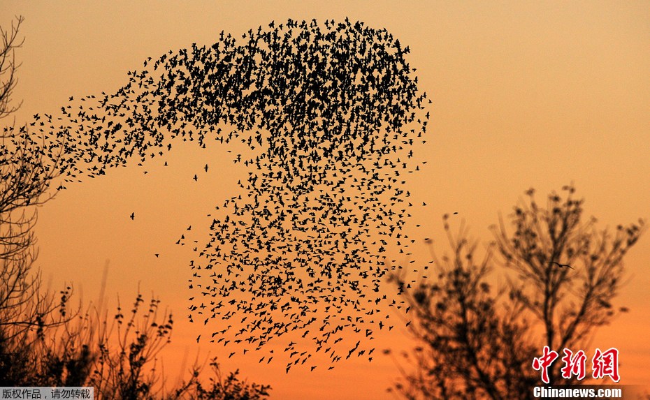 �K���mС��f�B�輯�L;�w��