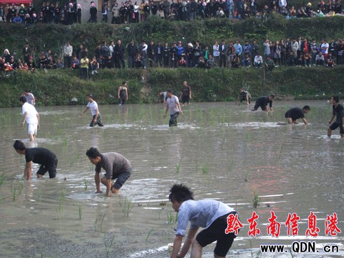 ��ɽ�e��׽�~��ِ���ʼ��ʣ��D��