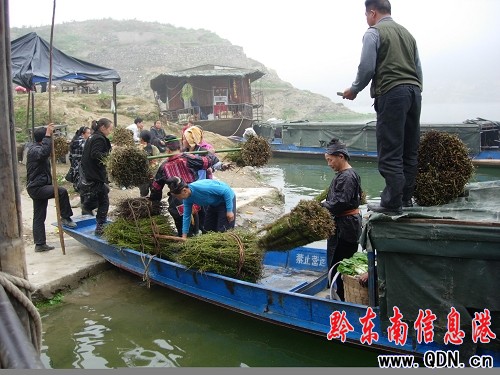 ���ӿhҰ���^�����΃ɏV���D��