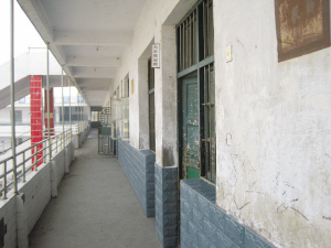 �����ɂ�Ů���Ԛ��r(sh��)�����꼉6����98���W(xu��)�����F(xi��n)�����z�D(zhu��n)�W(xu��)�ˡ�