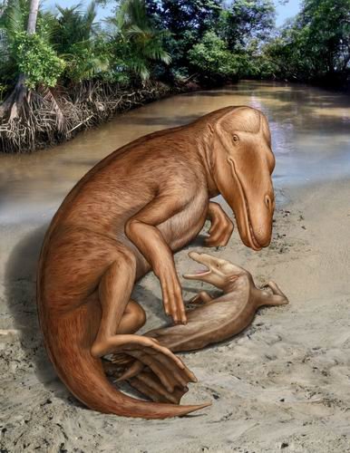 ���Űl(f��)�F(xi��n)�������ߵ��L�~�� ���a�M���v�̿�ȱ