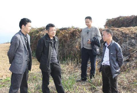 �Sƽ�h��ӆ15�|Ԫ�{(l��n)ݮ�a(ch��n)�I(y��)�l(f��)չ�����ԅf(xi��)�h