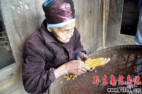 �Sƽ�ٚq���ω��ǡ� �ܴ���������M�D��