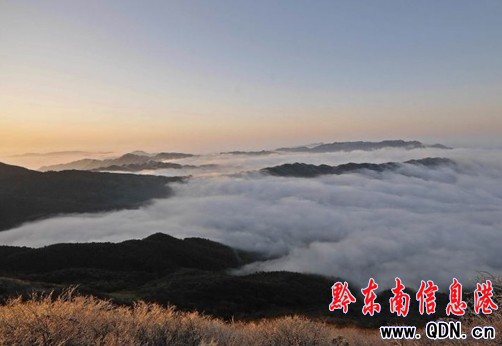 �׹�ɽ��(gu��)��ɭ�ֹ��@���F(xi��n)�Fڡ�������D��