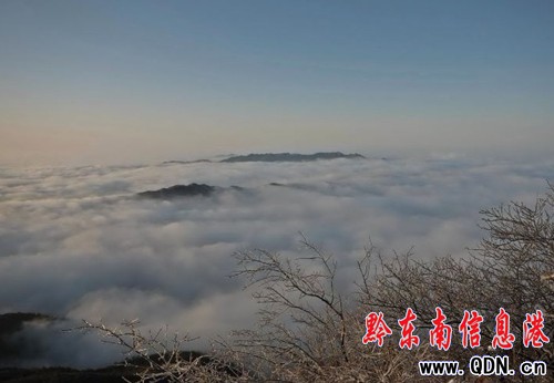 �׹�ɽ��(gu��)��ɭ�ֹ��@���F(xi��n)�Fڡ�������D��