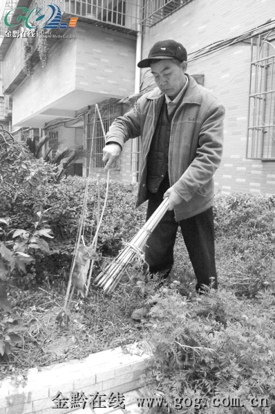 社區里來了義務捉鼠志愿者 受居民高度贊揚