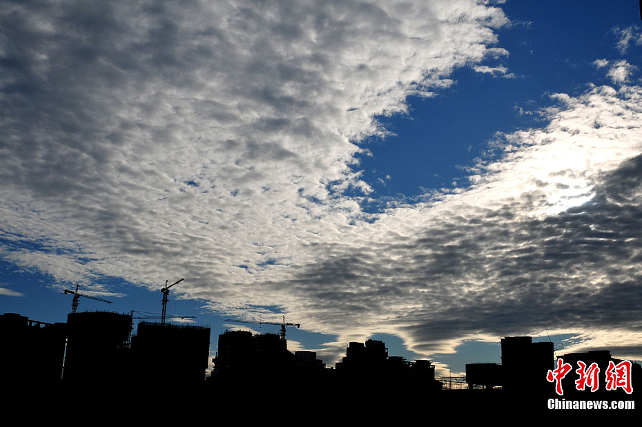 福州天空出現罕見魚鱗云