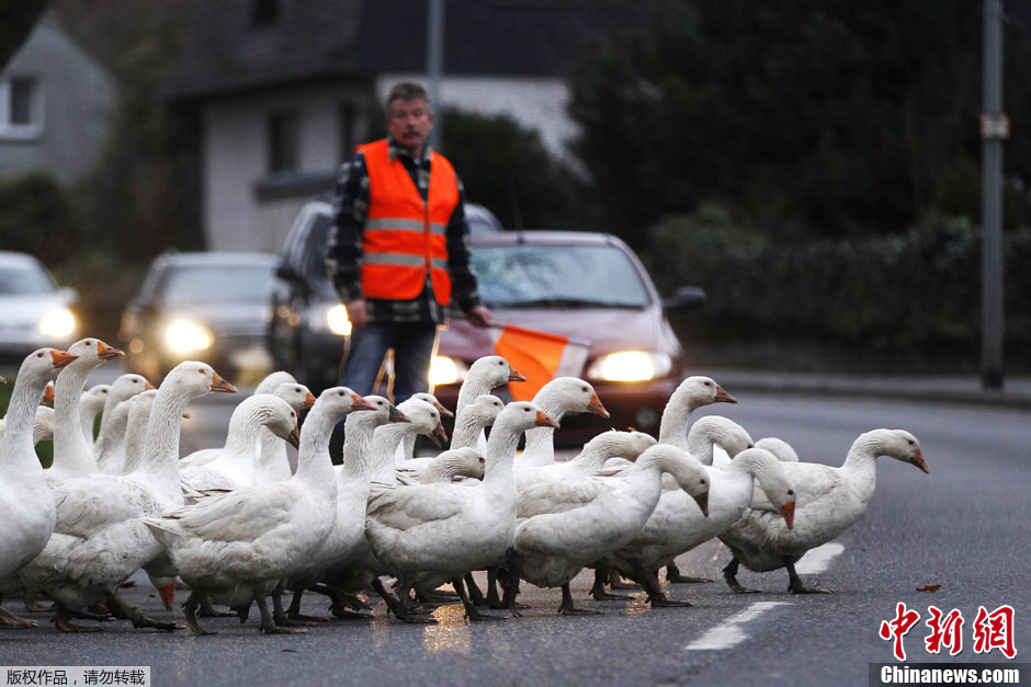 ��ܰ����Ⱥ�Z�����^��܇�vС�ı�׌