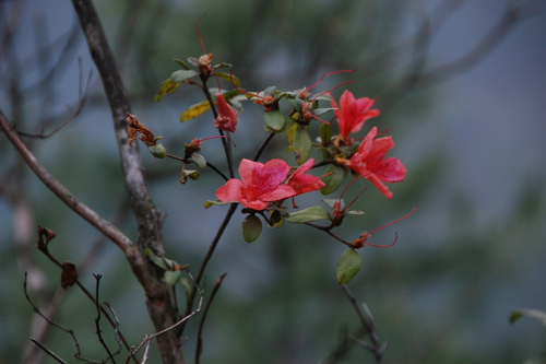 �������� ���N���_���D��