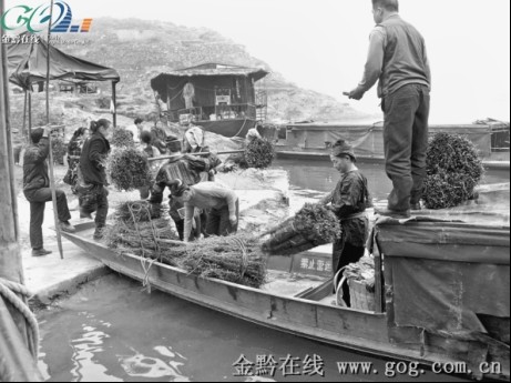 �ɏV���̼����M�넦������悓�ُҰ���^��