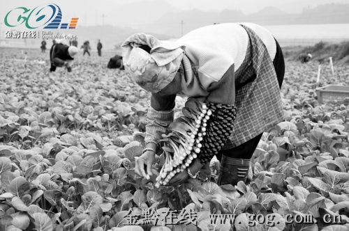 �Ž��SԴ����ÿ�¹����߲�200�����D��