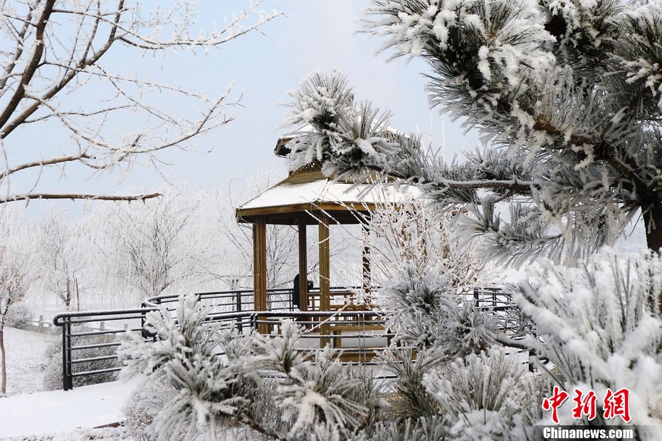 遼寧營口出現霧凇美景