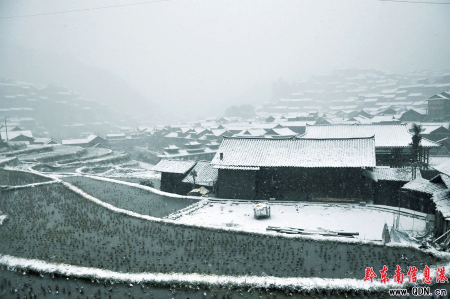 �y�b�ع�������ǧ����կ