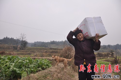 ʡ�tʮ�֕�65�fԪ���|��ٛ����ؚ��Ⱥ��(�D)