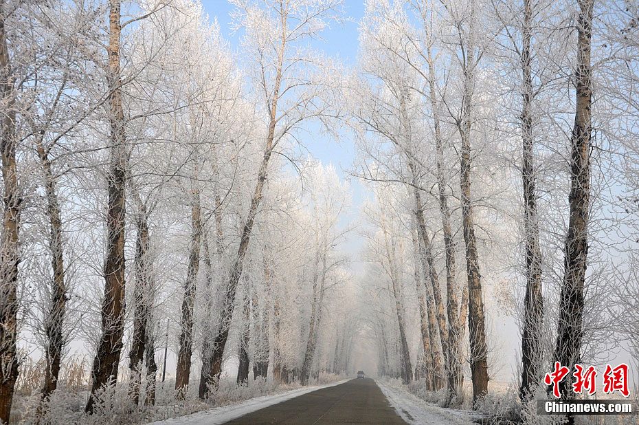 吉林霧凇島進入觀賞佳期
