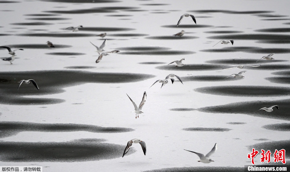 ���ֳ�ѩ����ɽˮ��