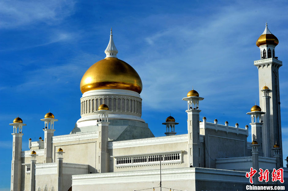 ���R��Ӱ����������