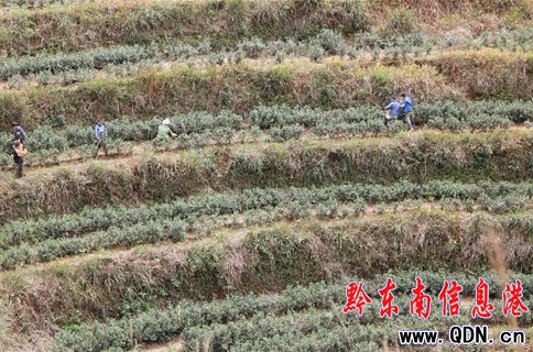 ��ƽ��a�I���M12�f�r�����գ��D��