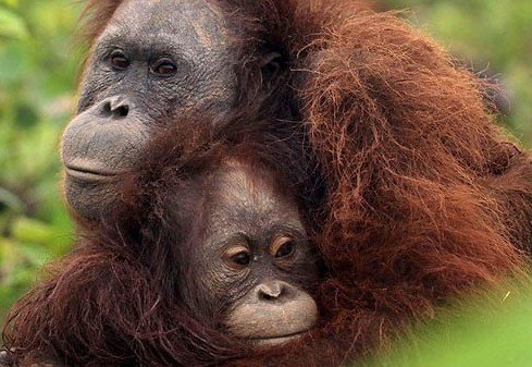 ���ɋ�����Σ�C�P�^�������o����