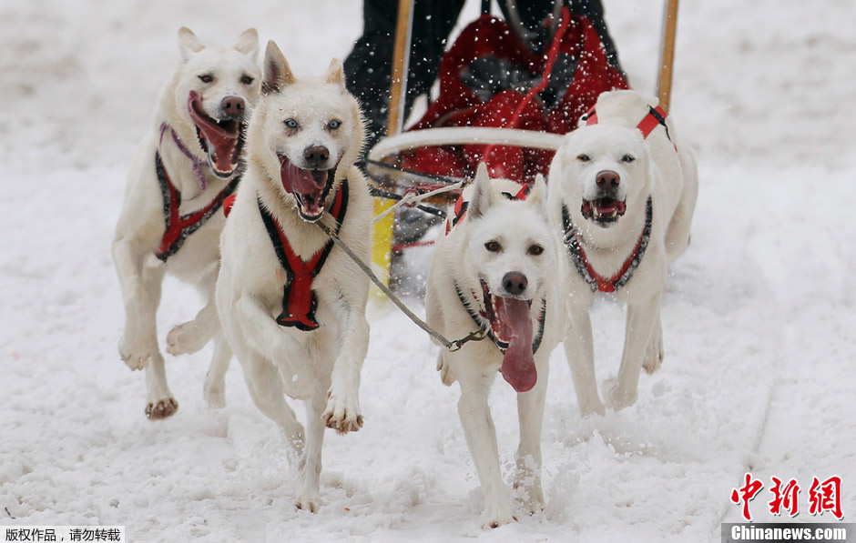 ѩ��Ȯ������ô󶬼������A