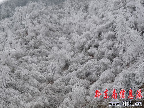 �������¡��ĹŘ����@���ˡ���ɫ�����M�D��