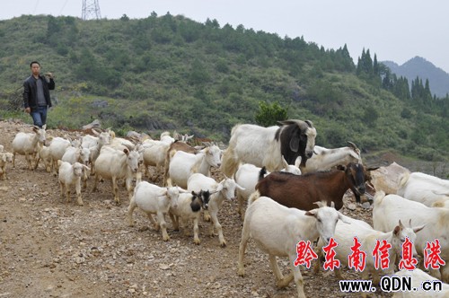 �����r(n��ng)������� ����򹤲��緵�l(xi��ng)��(chu��ng)�I(y��)(�D)