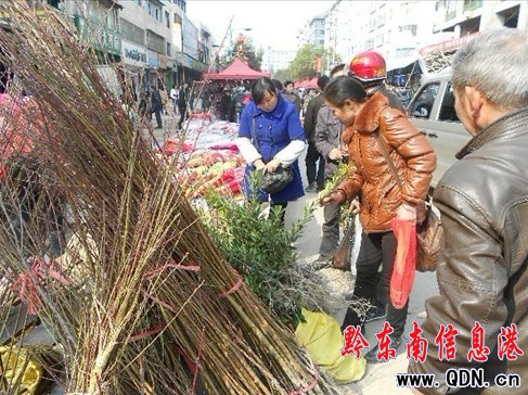 ��˼�ݡ��ƹ���ӭ�����У��D��