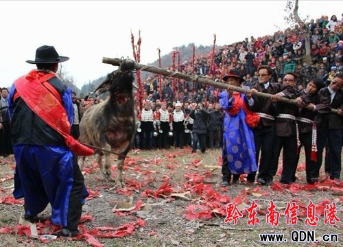 ���ӿh���|����կ�e��13��һ�εġ���������