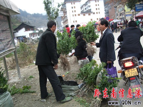 ��ɽ�r(n��ng)��(zh��ng)ُ���Ƽ������硱�ᣨ�D��