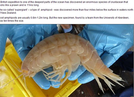 ����������r(�W퓽؈D)