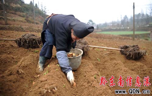 �����r�����Næ ���M��Ұ�����󣨈D��