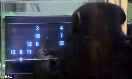 �ƌW(xu��)�Ұl(f��)�F(xi��n)������ӛס��(sh��)�ֵĕr�g�����