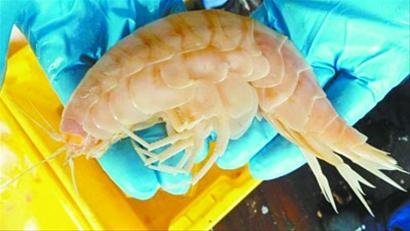 �����m����7000������@���������ӡ�