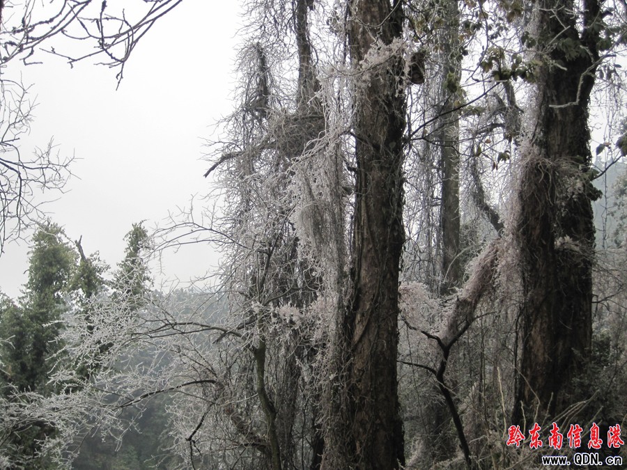 ��ƽ��Ȫɽ���^(q��)���F(xi��n)�Fڡ���^