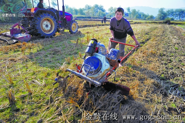 �\��¡��ųǡ���� ƽ�o��Ȼ�Ĺ�悚�Ϣ(�D)