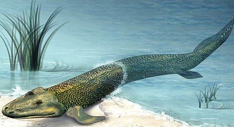 ������~�����x�M������ �������ص�6��(�D)