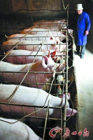 Ԫ�������i���r�ɳ� ������r��Ȼ��ͦ