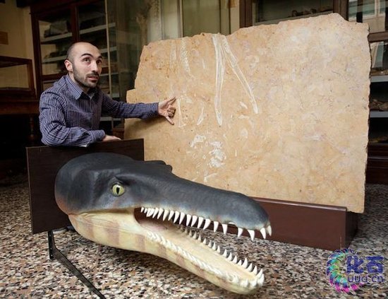 ������N�_(t��i)ʯ���аl(f��)�F(xi��n)�������{�~(y��)��ʯ(�D)