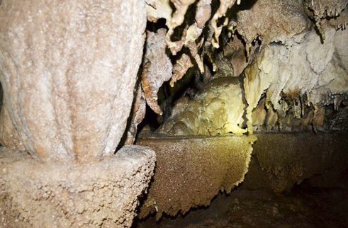 ʩ���h��������п���կ�l�F�ܶ�Ⱥ���D��