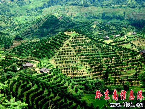 �얿h��˼�ݡ����ĵ��֮a�I�lչ�^�죨�D��