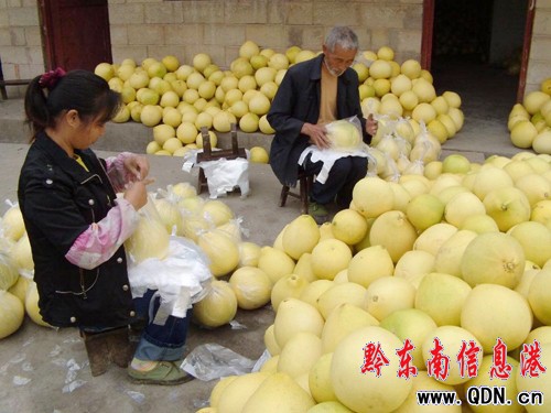 �얿h��˼�ݡ����ĵ��֮a�I�lչ�^�죨�D��