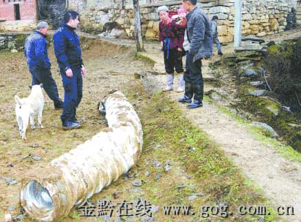 ��11�w������(d��o)���l(w��i)�ǰl(f��)�� ������������(zh��n)�h(yu��n)