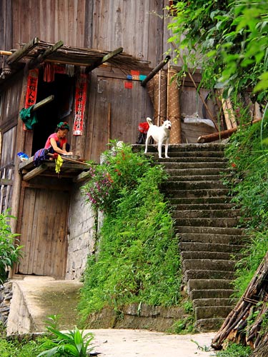 新橋苗寨 探秘最繚亂的超短裙風情(組圖)