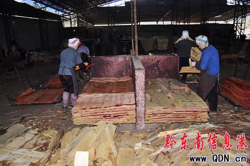 石干昌率隊督查黃平縣“開門紅”工作(組圖)