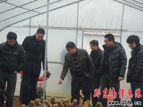 凱里市智力支邊辦公室赴丹寨縣考察(圖)